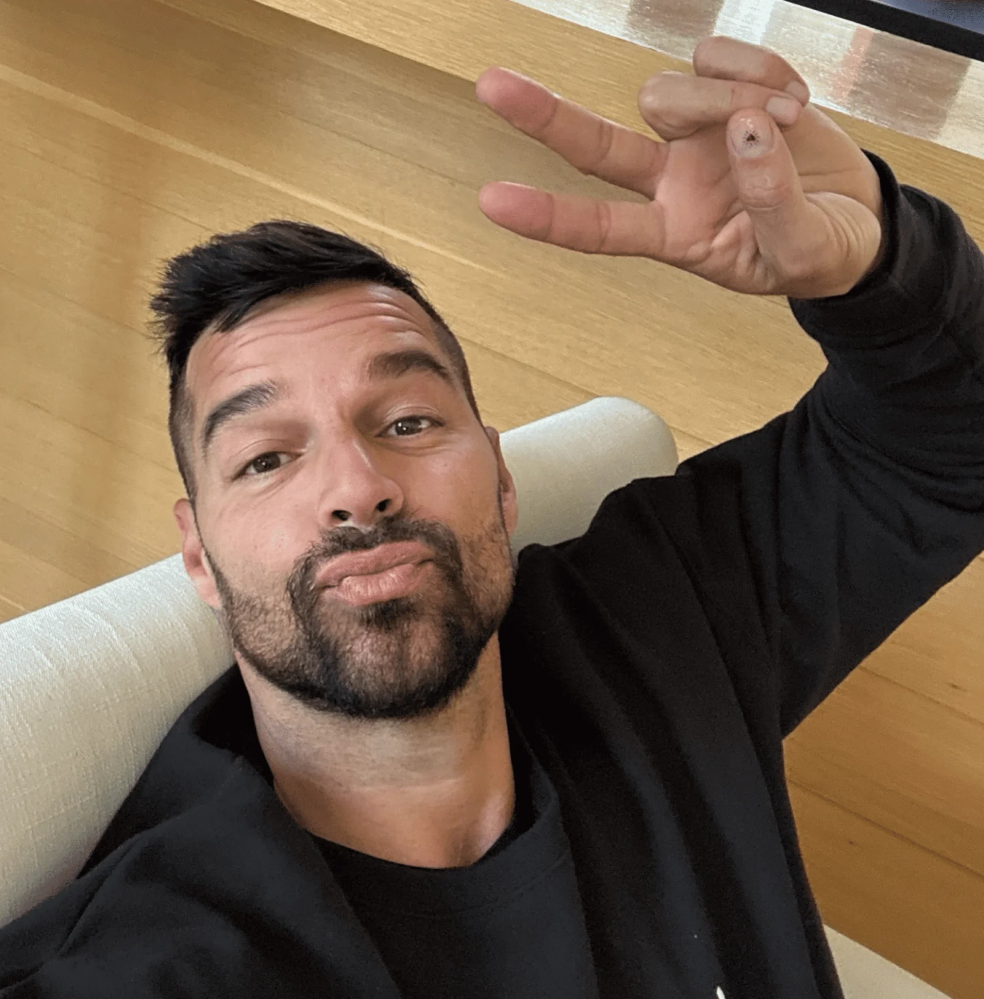 Ricky Martin
